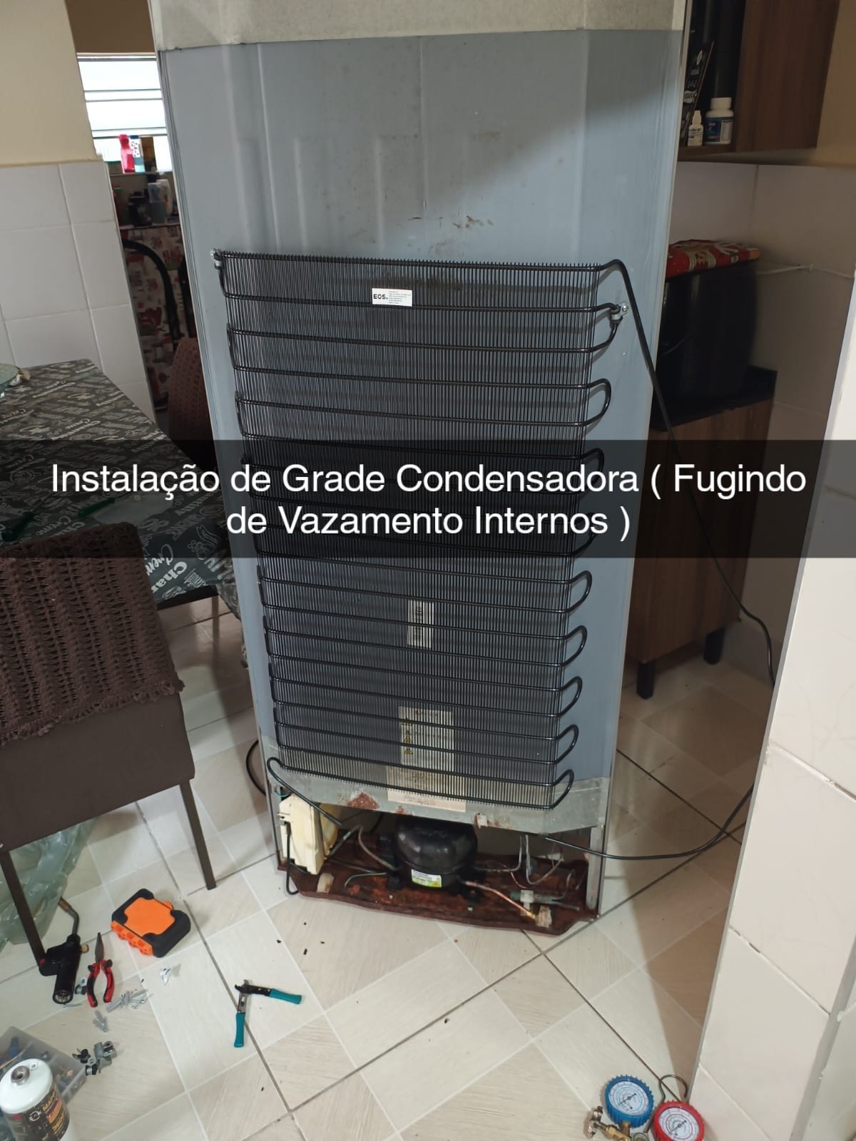 WhatsApp Image 2024-08-02 at 16.48.29