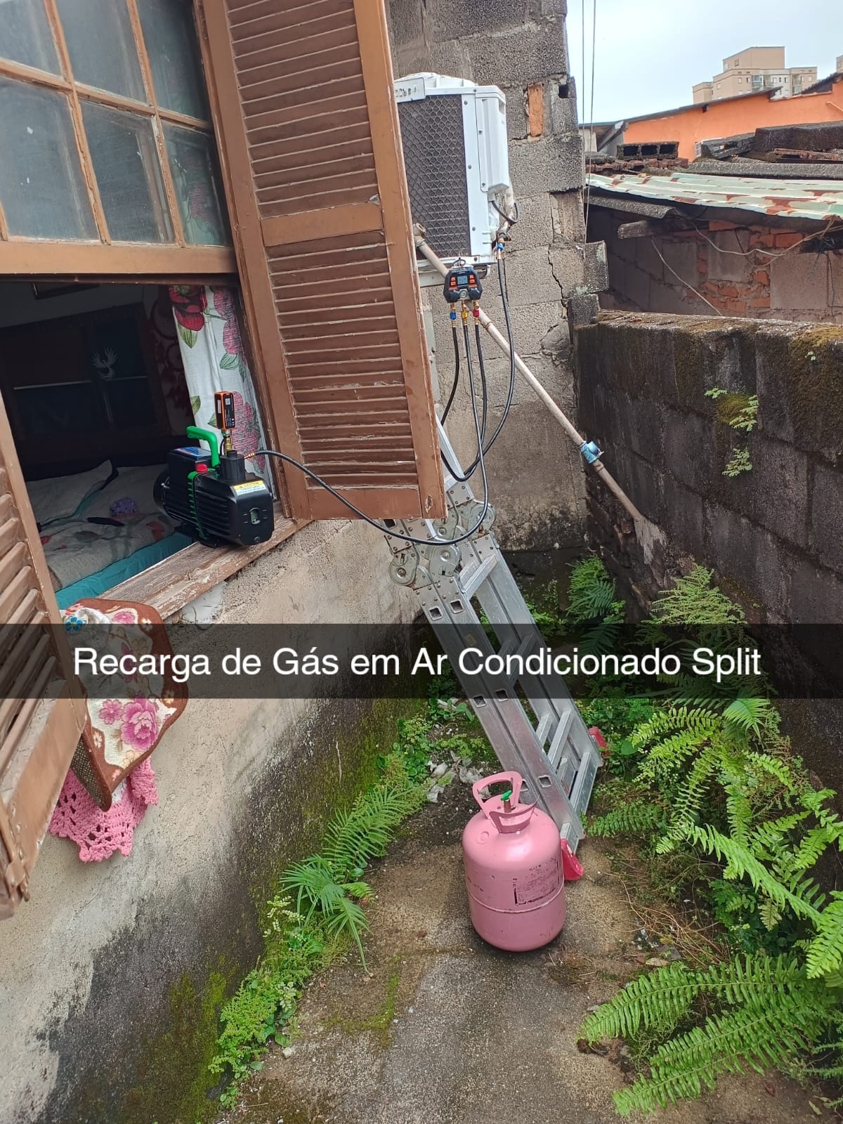 WhatsApp Image 2024-08-02 at 16.48.30 (4)